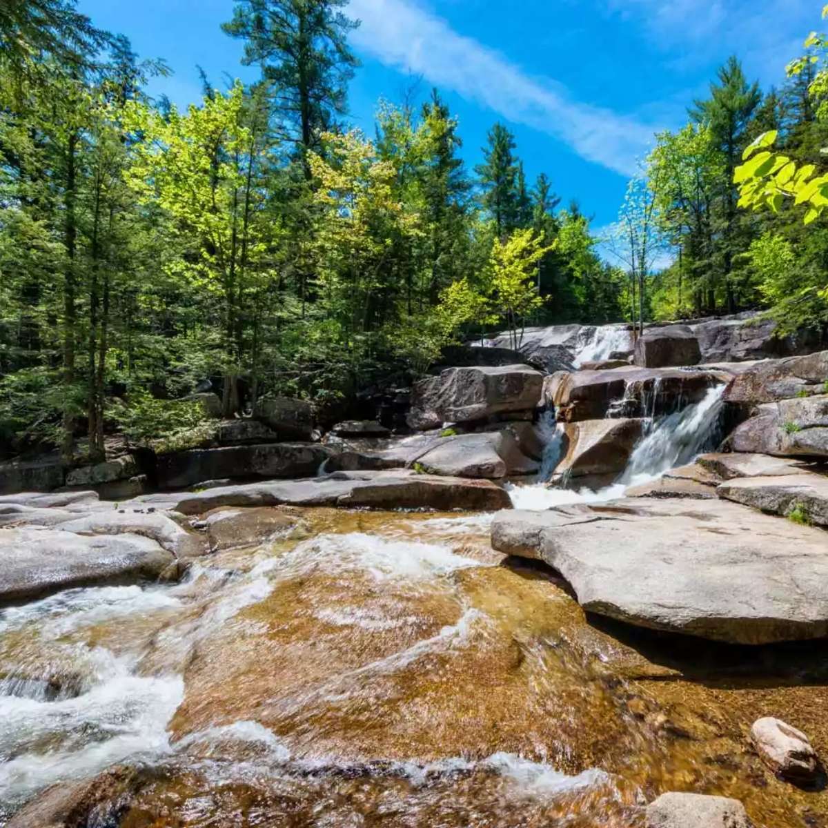 Best swimming spots near me